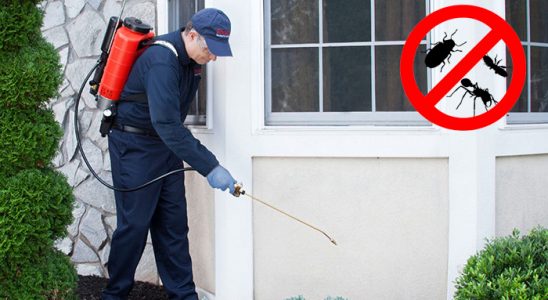 Yahyalı Akrep İlaçlama böcek ilaçlama ve haşere kontrolü — ilaclama-tr.com